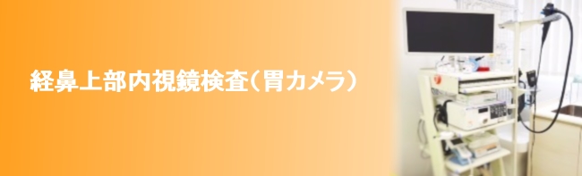 関市/経鼻上部内視鏡検査（胃カメラ）/臼井ハツラツクリニック